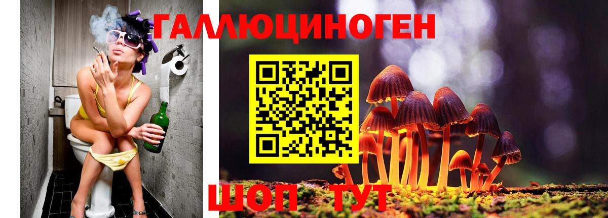 Галлюциногенные грибы MAGIC MUSHROOMS Ирбит